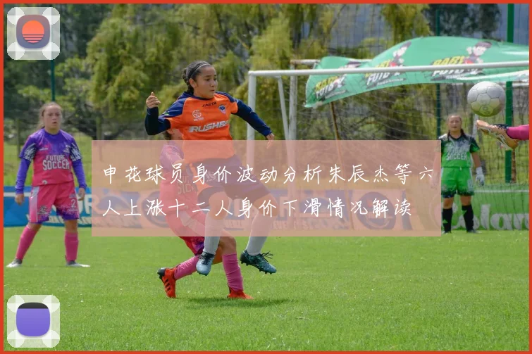 申花球员身价波动分析朱辰杰等六人上涨十二人身价下滑情况解读